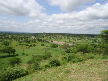 Tarangire River seen from Tarangire Safari Lodge